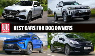 Best cars for dog owners - header image